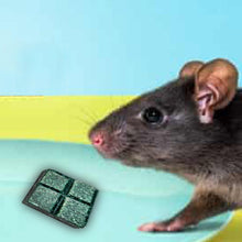 296 (PCI) Roban the Rat Killer (Brown) Small 